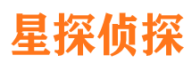 滨湖侦探公司